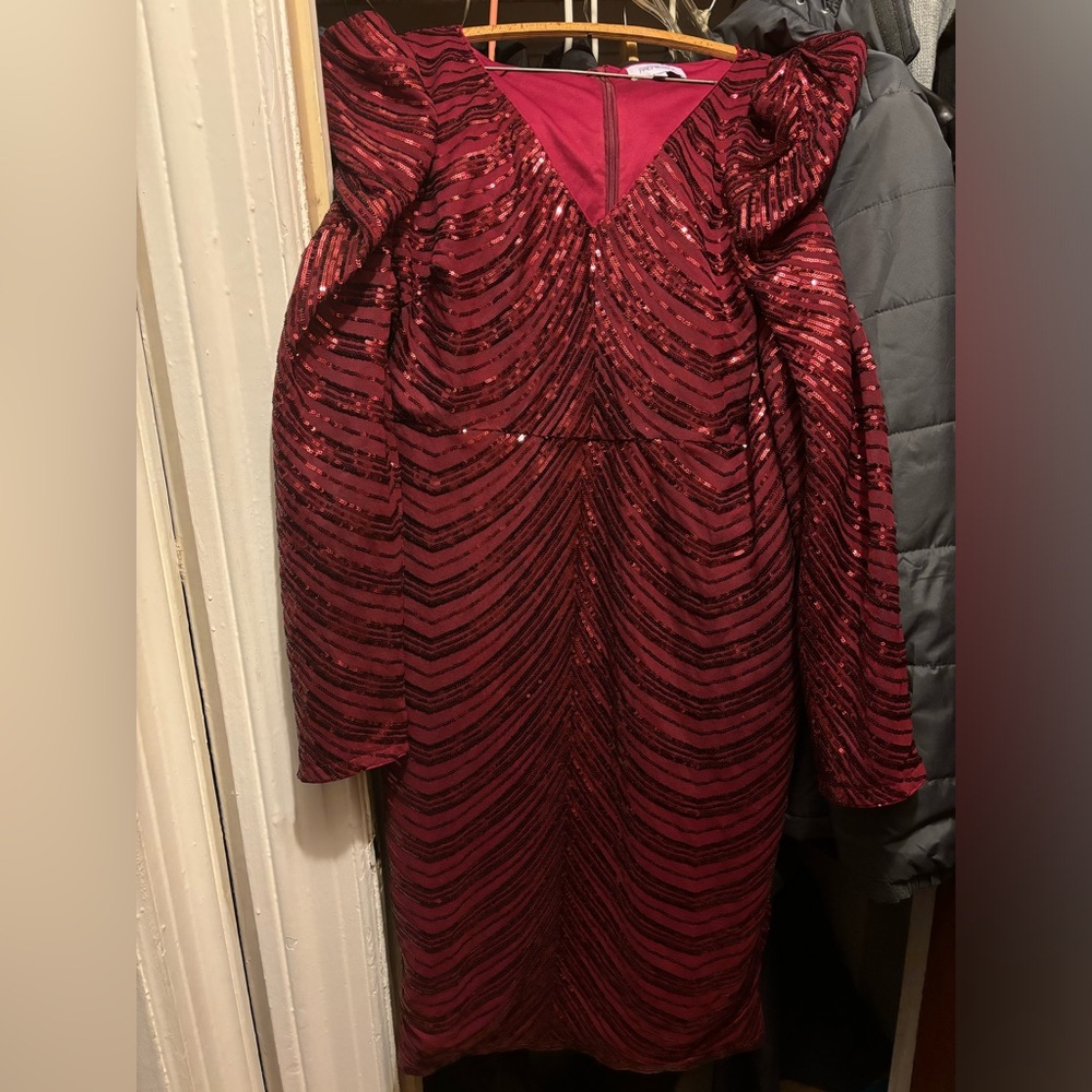 Burgundy sequin Gigot sleeve bodycon dress 2XL (16)